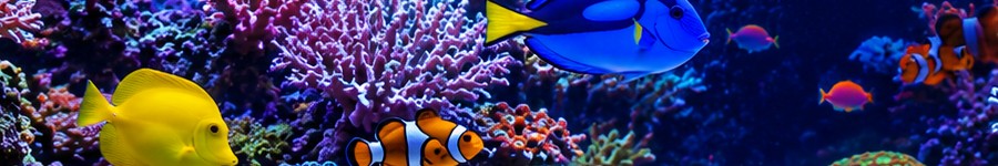 Aquarium testing